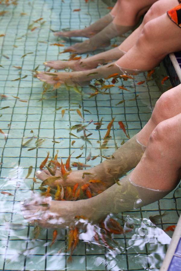 Jenq Yang Hotspring Hotel Renai Dış mekan fotoğraf